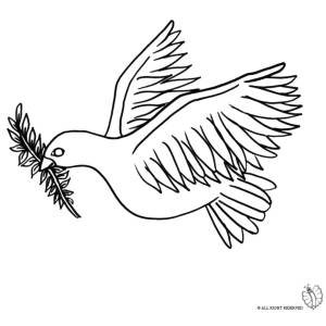 Disegno di Colomba Bianca da colorare