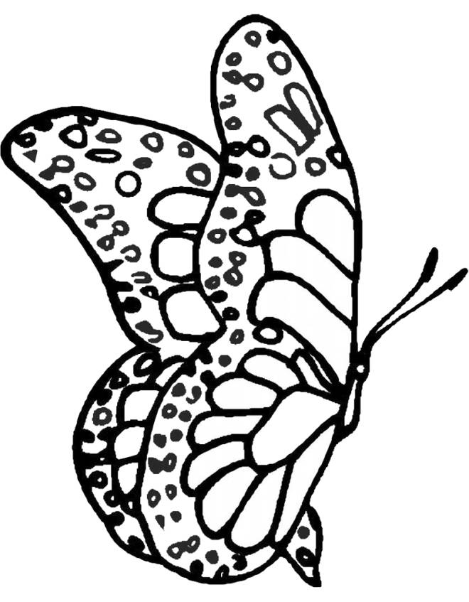 Immagini Di Farfalle Colorate Per Bambini