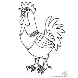 Disegno di Gallo da colorare