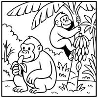 disegno di Gorilla ed Albero di Banane da colorare