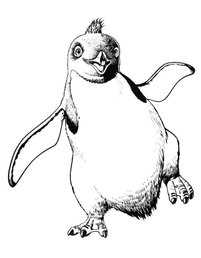 disegno di Pinguino Happy Feet da colorare