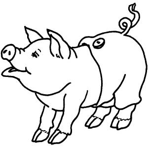 Disegno di Maiale con Pantaloni da colorare