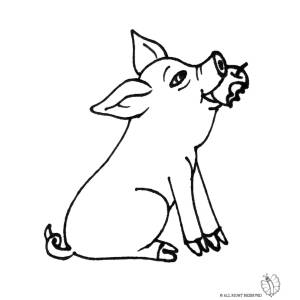 Disegno di Maialino che Mangia da colorare