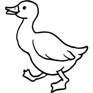 Disegno di Papera da colorare