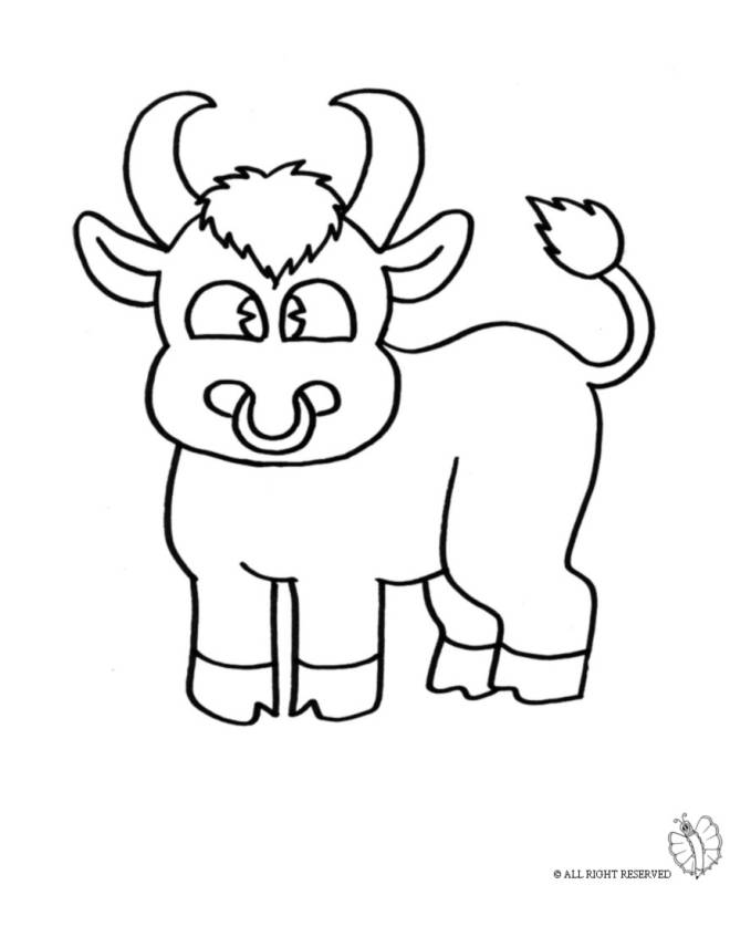 disegno di Piccolo Toro da colorare