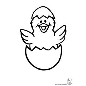 Disegno di Pulcino da colorare