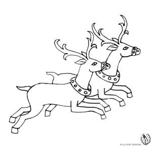 Disegno di Renne da colorare