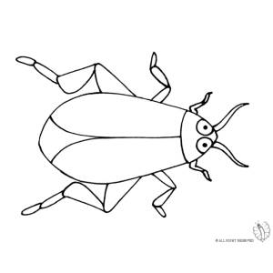 Disegno di Scarafaggio da colorare