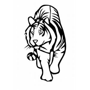 Disegno di Tigre da colorare
