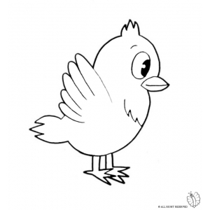 Disegno di Uccello da colorare