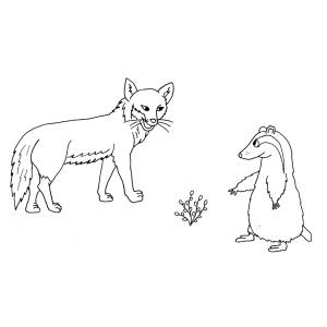 Disegno di La Volpe e il Suricata da colorare