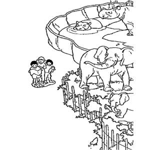 Disegno di Zoo da colorare