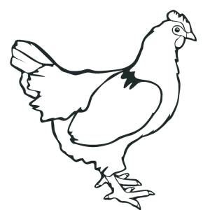 Disegno di Gallina da colorare