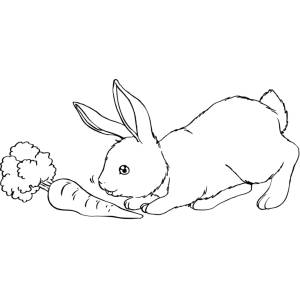 Disegno di Il Coniglio e La Carota da colorare