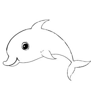 Disegno di Flipper da colorare