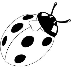Disegno di La Bella Coccinella da colorare
