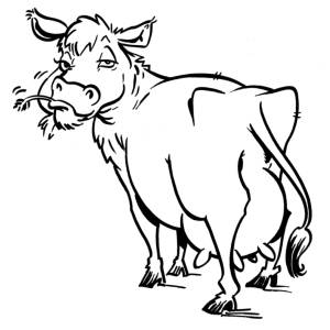 Disegno di Mucca da colorare