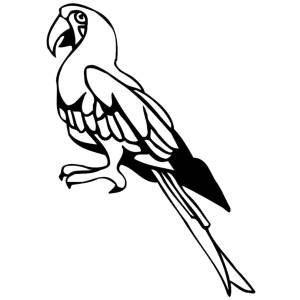 Disegno di Pappagallo da colorare