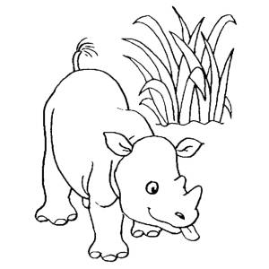 Disegno di Rinoceronte da colorare