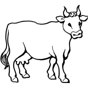 Disegno di Toro da colorare