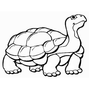 Disegno di La Tartaruga da colorare