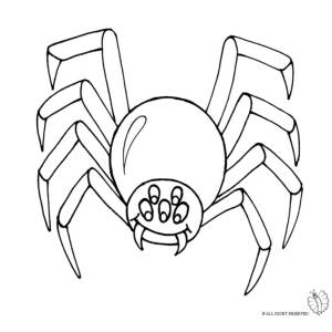 Disegno di Ragno per Scherzo Carnevale (retro) da colorare
