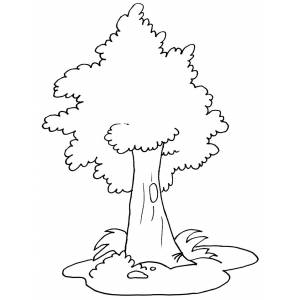 Disegno di Albero da colorare