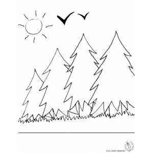 Disegno di Bosco da colorare