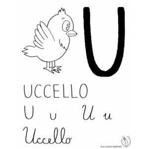 Disegno di Lettera U di Uccello da colorare