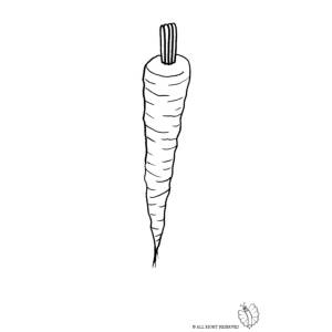 disegno di Carota da colorare