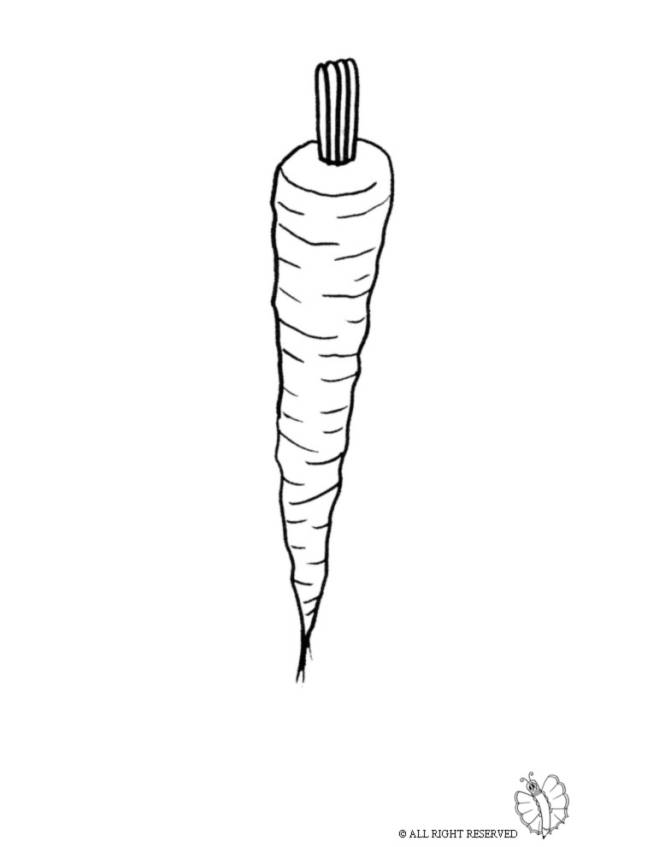 disegno di Carota da colorare