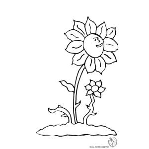 Disegno di Fiori Colorati da colorare