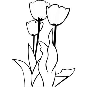 Disegno di Fiori Tulipani da colorare
