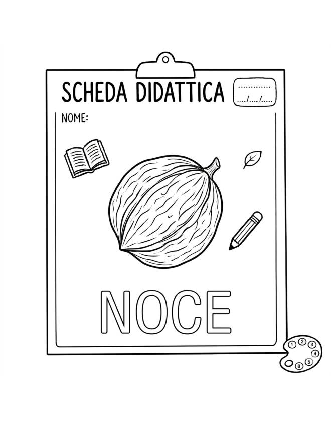 disegno di La Noce Scheda Didattica  da colorare