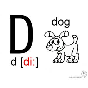 Disegno di Lettera D Alfabeto Inglese da colorare