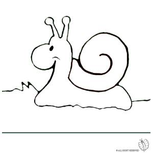 Disegno di Lumaca nel Bosco da colorare