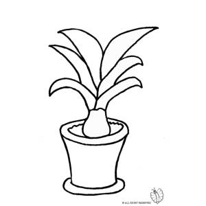 disegno di Pianta nel Vaso da colorare