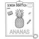 Disegno di Ananas Scheda Didattica da colorare