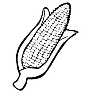 Disegno di Spiga da colorare