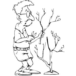 Disegno di Nonno Giardiniere da colorare