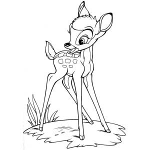 Disegno di Bambi da colorare