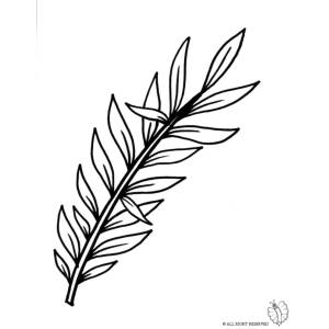 Disegno di Domenica delle Palme da colorare