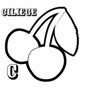 Disegno di Scheda Lettera C da colorare