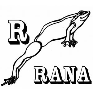 Disegno di Scheda Lettera R da colorare