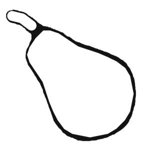 Disegno di Pera da colorare