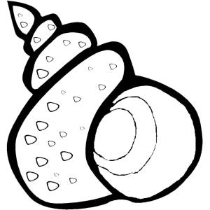 disegno di Conchiglia da colorare