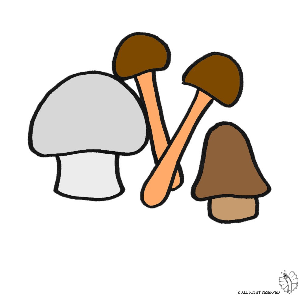 disegno di Funghi a colori