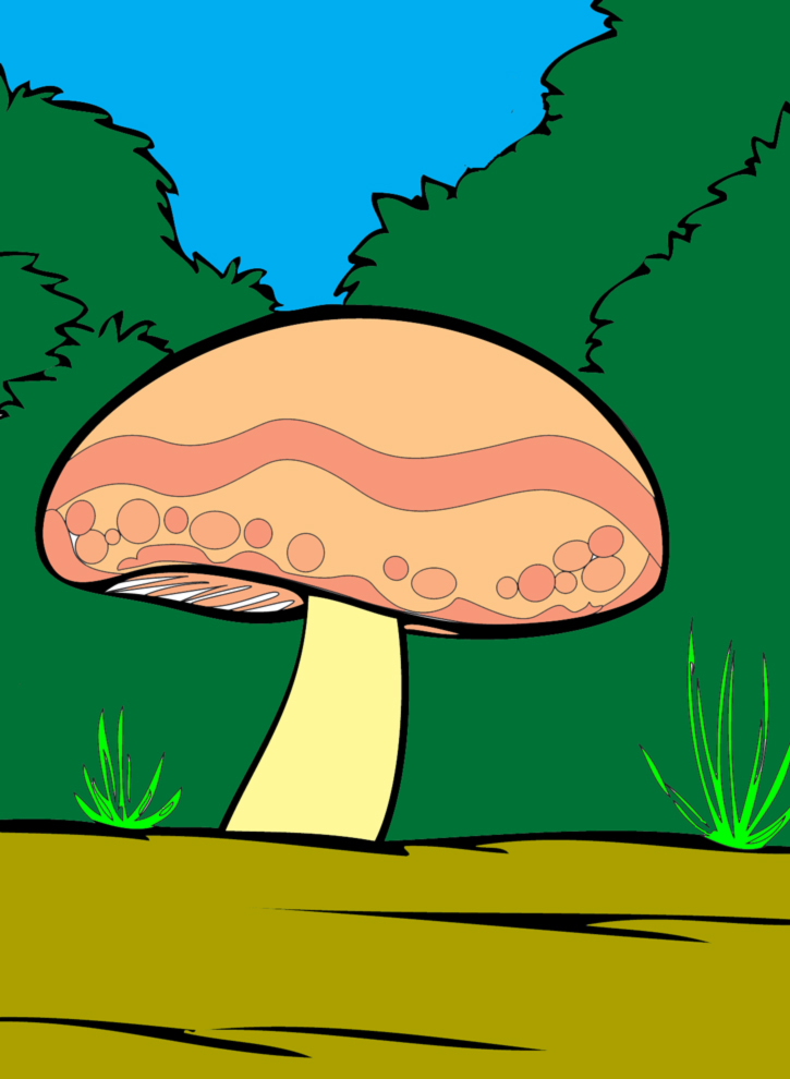 disegno di Fungo nel Bosco a colori