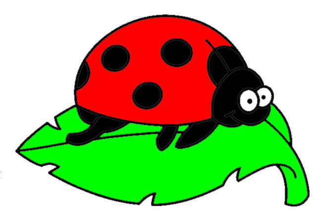 disegno di Coccinella sulla Foglia a colori