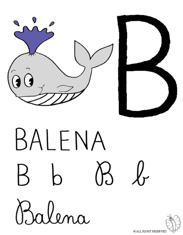 disegno di Lettera B di Balena a colori